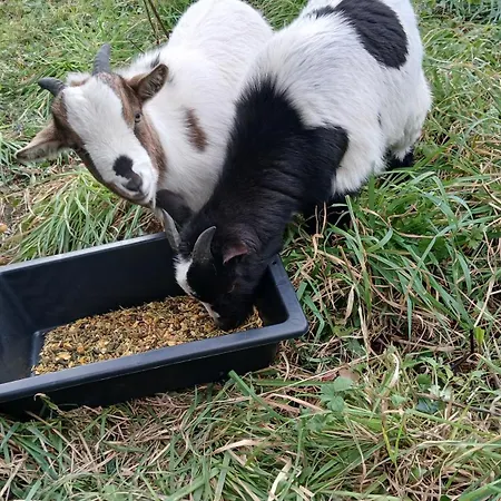 Du Marais Ferienhaus La Bonneville
