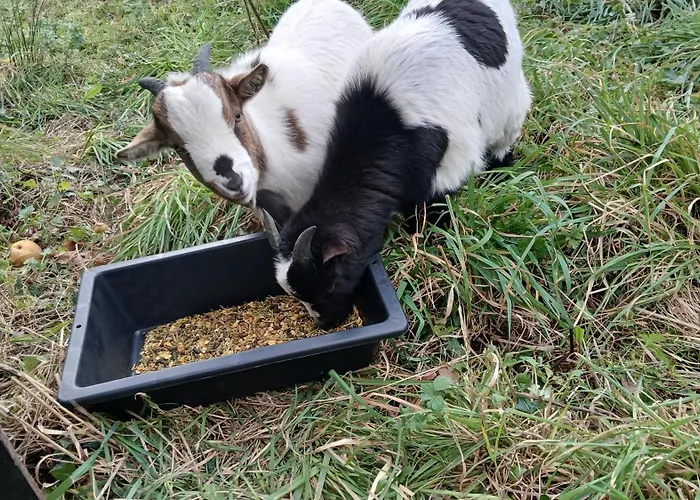 Du Marais Hébergement de vacances La Bonneville